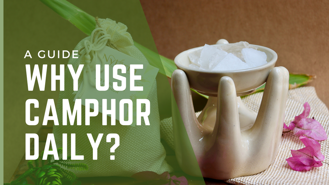 benefits of camphor in daily life