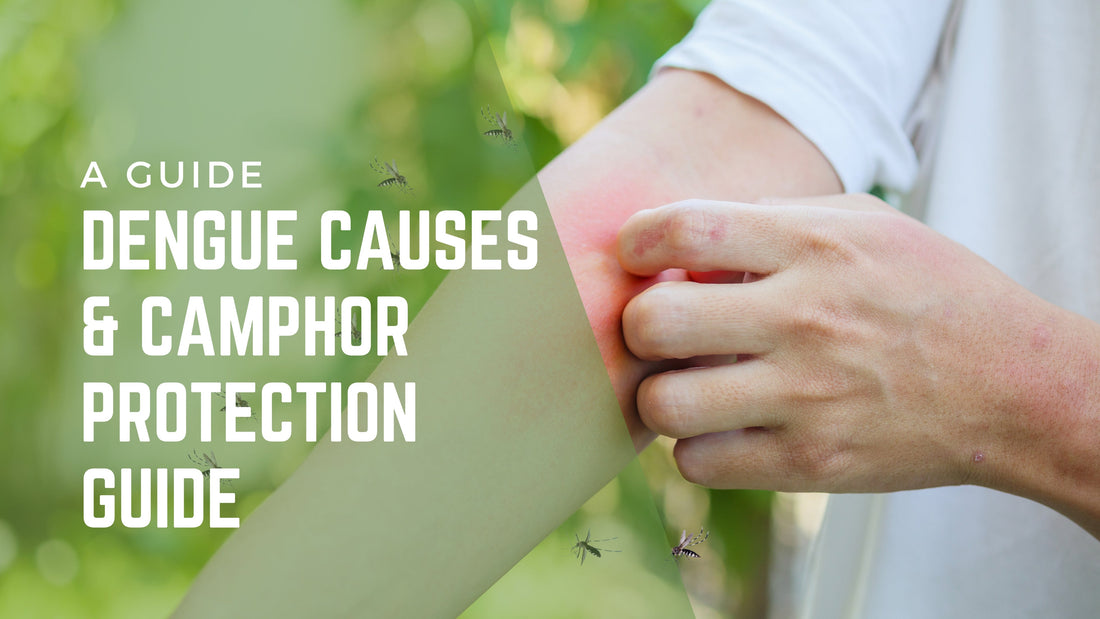 causes of dengue virus 