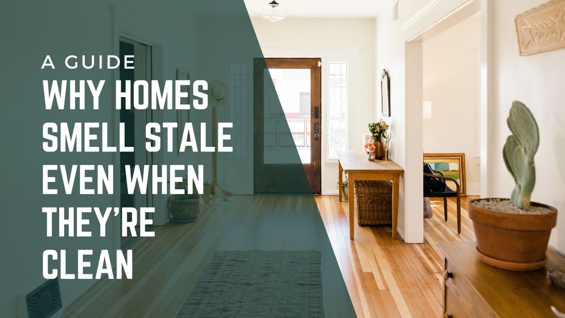 Why Homes Smell Stale Even When They’re Clean