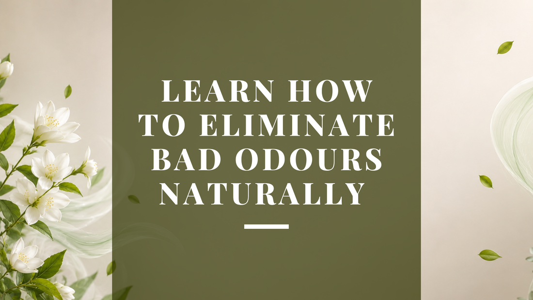 Science of Odour Neutralization: How to Remove Bad Smells