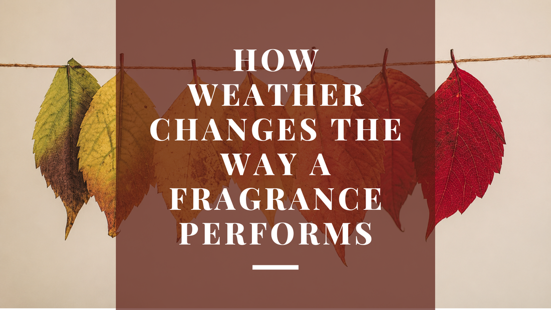 How Weather and Season Change the Way a Fragrance Performs