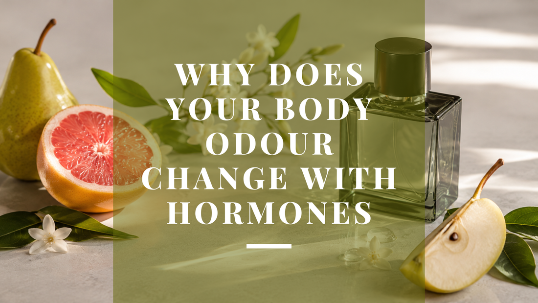 Fragrance Notes Explained: What Top, Middle & Base Really Mean
