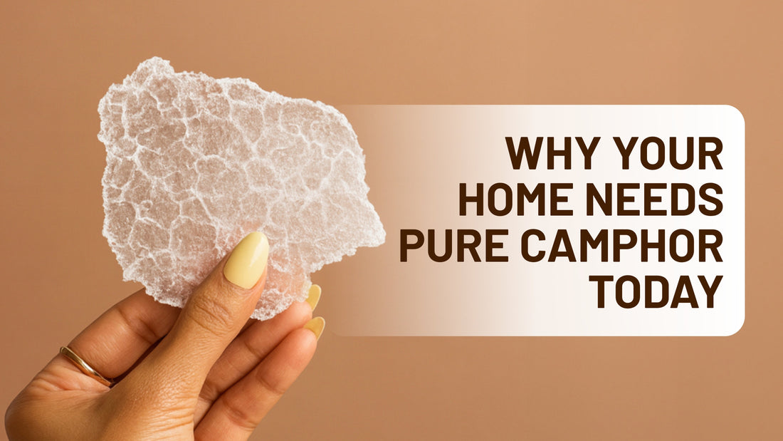 The Secret Power of Camphor: Why Your Home Needs Pure Camphor Today