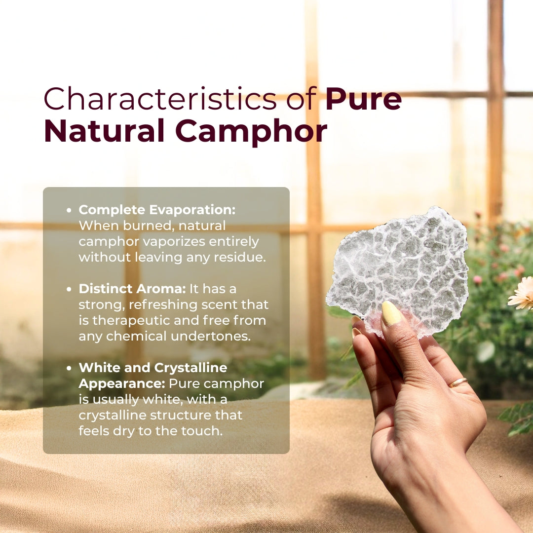 Air Purifying Camphor