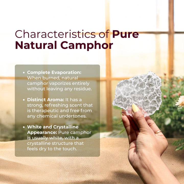 Air Purifying Camphor