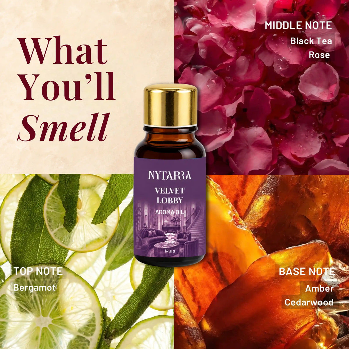 Aroma Oil Discovery Box