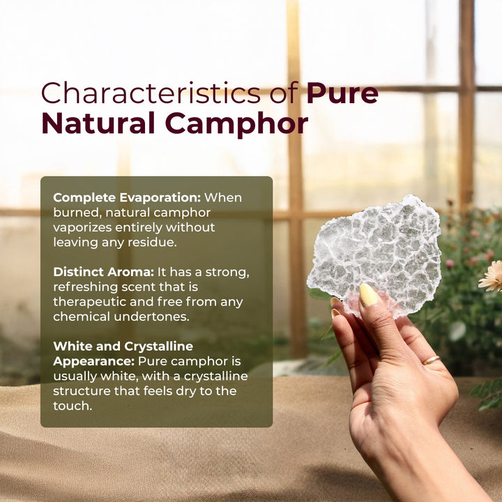 Characteristics of Pure Natural Camphor