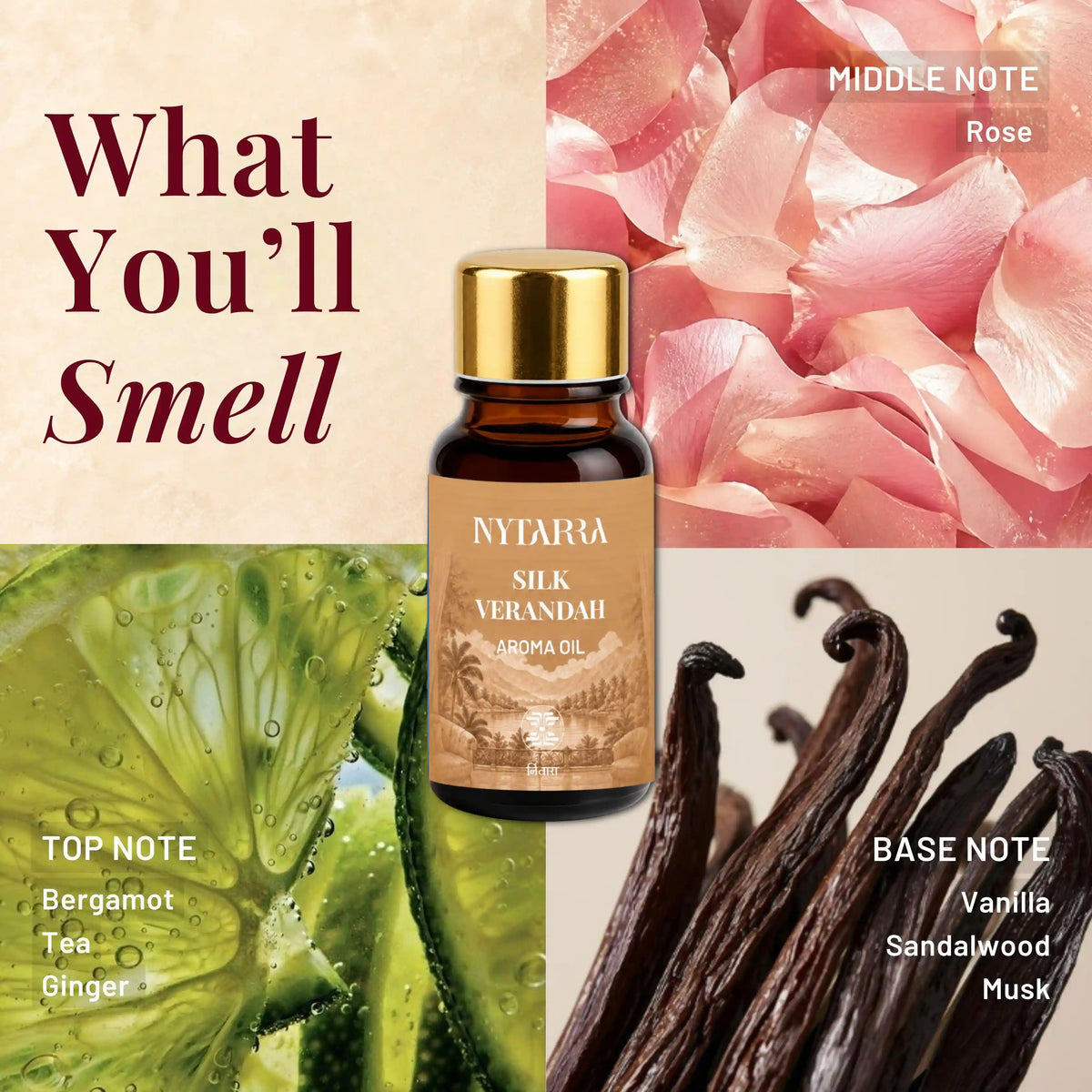 Aroma Oil Discovery Box