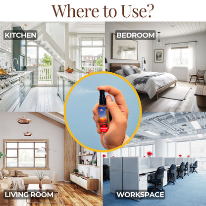 Discovery Set (5 x 8ML)