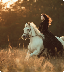 Bright Energy, Pure Happiness