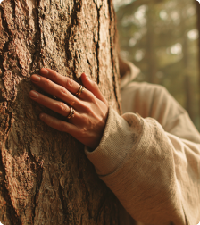 Earthy, Grounded, Comfort Cozy
